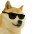:cooldoge: